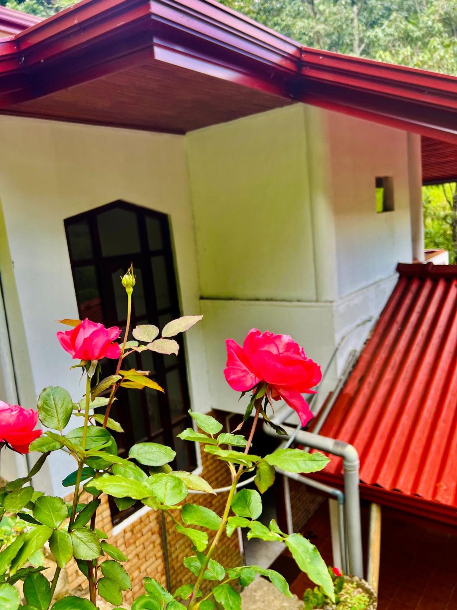 Pineview Lodge Ella Bagian luar foto